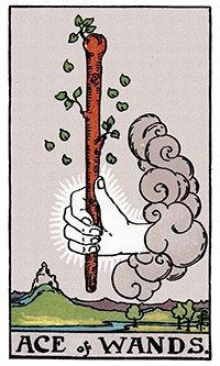 Ace Of Wands Card Reading