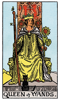 Queen of Wands Card Reading