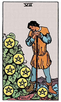 Seven of Pentacles Card Reading